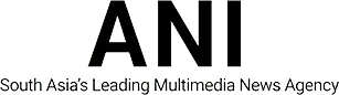 Ani logo black